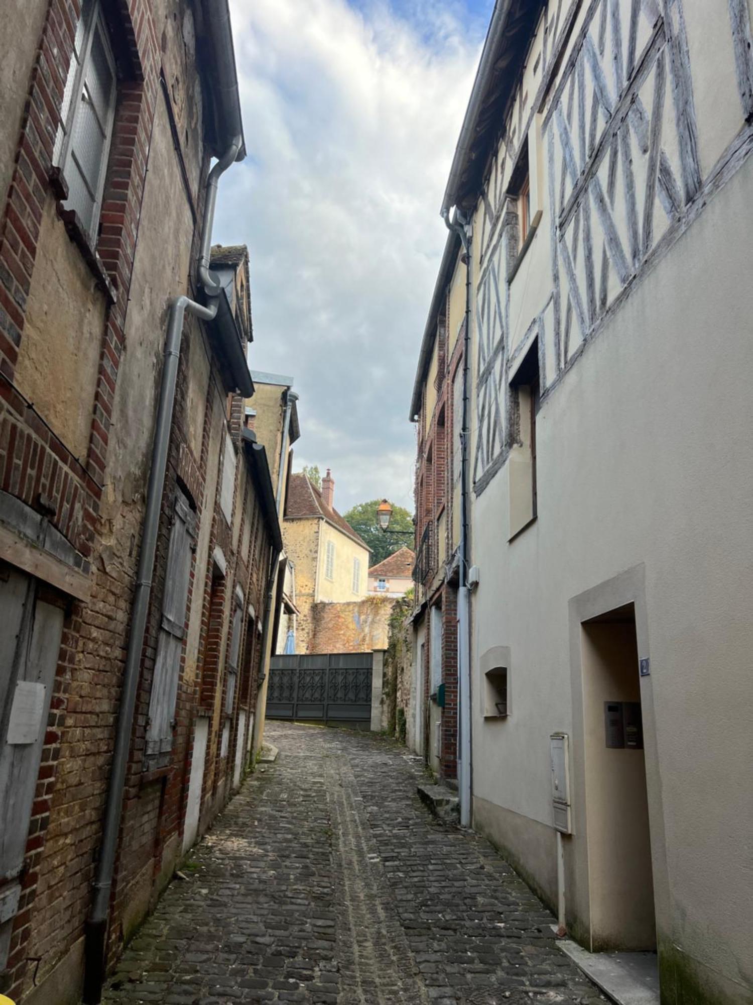 Le Citadin Bourguignon Guest House Toucy Exterior foto